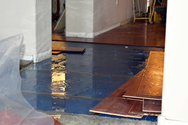 Professional Water Damage Restoration technician working in Ariel, WA